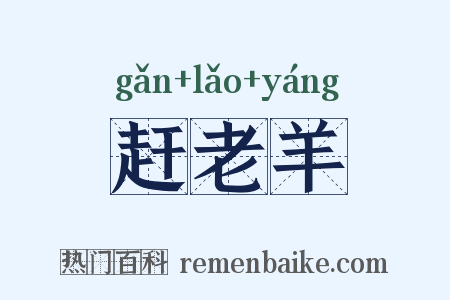 赶老羊是什么意思的图片